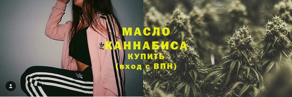 мдпв Гусев