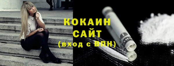 мдпв Гусев
