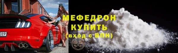 мдпв Гусев