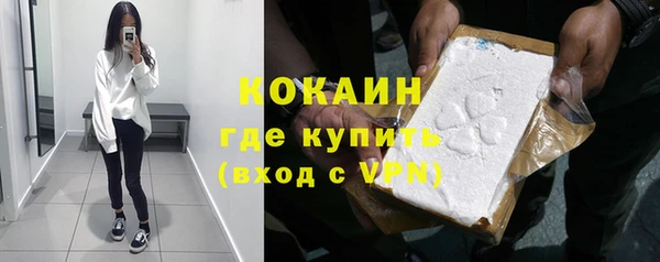 мдпв Гусев