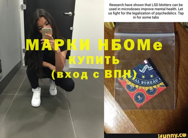 мдпв Гусев