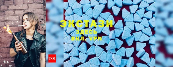 мдпв Гусев