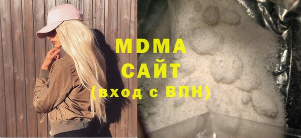 мдпв Гусев