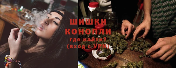 мдпв Гусев